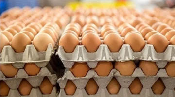 سعر كرتونة البيض اليوم الخميس في بورصة الدواجن وتأثيره على أسعار البيع في الأسواق 1